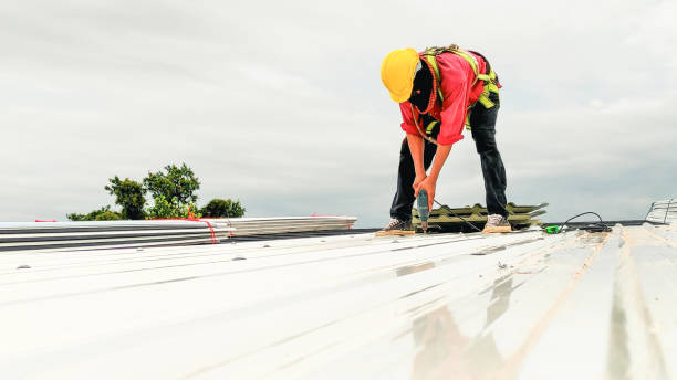 Best Skylight Installation and Repair  in East Oakdale, CA